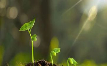 关于守护作文6篇