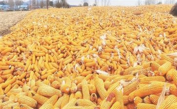 军训收获心得7篇