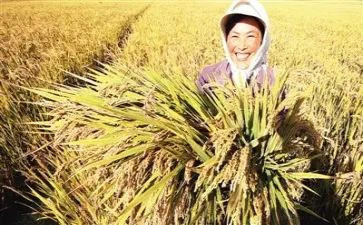 收获读后感5篇