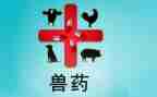 兽药店个人年度总结通用7篇