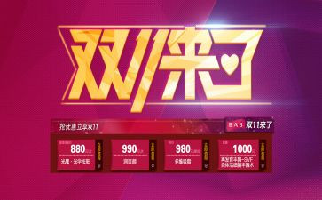 双11总结报告7篇