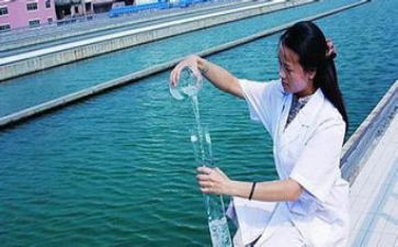水质调研调研报告7篇
