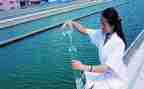 水质调研调研报告7篇