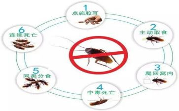四害工作总结参考6篇
