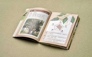 忆四史心得体会参考7篇