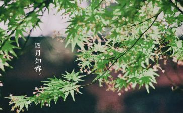 中班四月份工作总结7篇