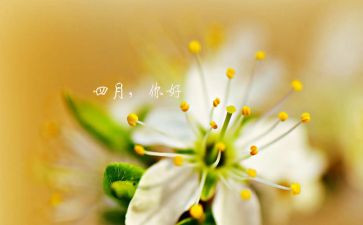安保四月度工作总结范文8篇