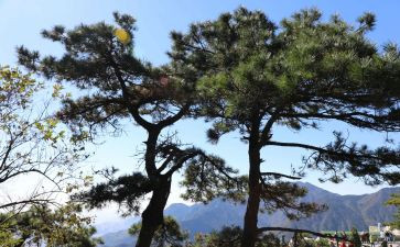 白岩松讲演讲稿5篇