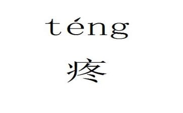 我最疼的人作文精选6篇