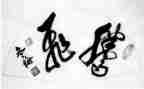腾飞的祖国写演讲稿7篇