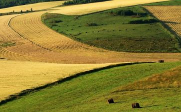 春天的田野作文最新8篇