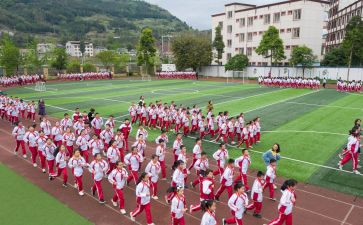 体育活动总结参考5篇