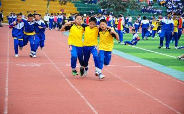 体育活动幼儿园教案5篇