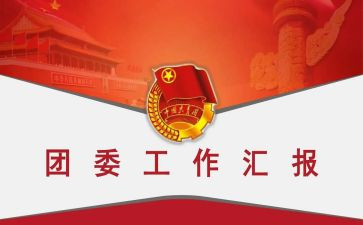 县医院团委工作总结5篇