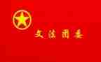 学生团委工作总结报告5篇
