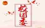区团委工作总结报告5篇