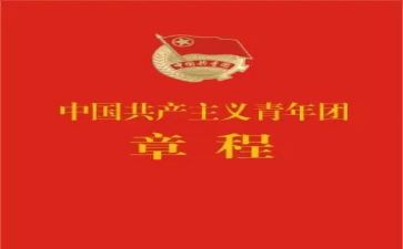 团章学心得体会8篇