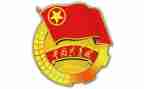 2024年度团支部书记述职报告8篇