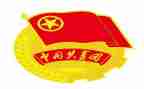 团支书的竞选演讲稿6篇