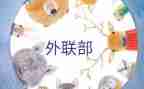 公司外联工作工作计划7篇