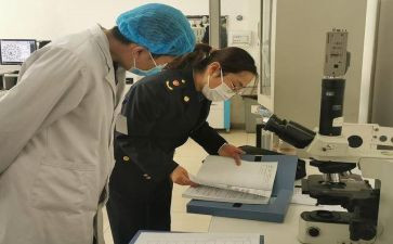 2024卫生院工作总结参考8篇
