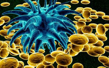 检验科微生物组个人总结5篇