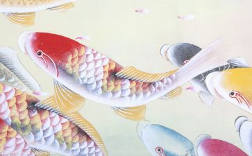 文化体育工作计划5篇