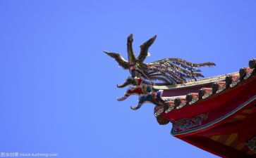 玖伍文化心得体会参考7篇