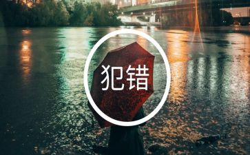 这是我的错作文优质6篇