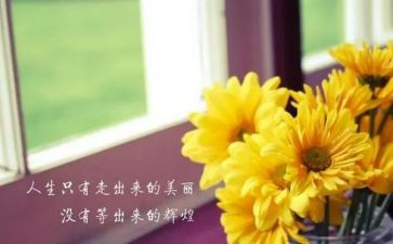 我的发现作文推荐6篇