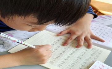 我想变成马的作文通用8篇