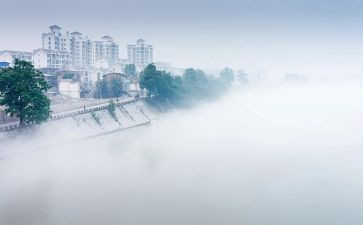 雾都孤儿的读后感模板7篇