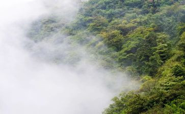 雾都孤儿的读后感400字8篇
