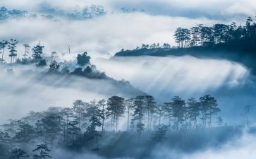 雾的孤儿读后感模板8篇