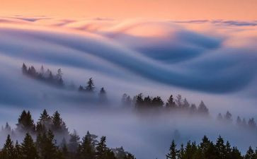 雾都雾都孤儿读后感参考7篇