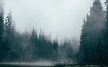 雾都孤儿,读后感模板8篇