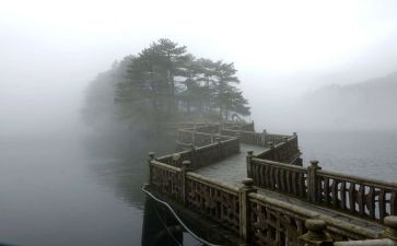 雾都孤儿的读后感推荐8篇