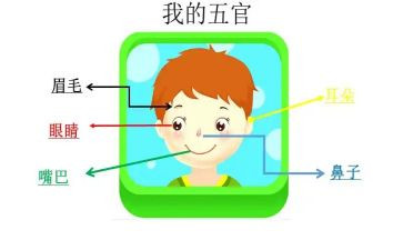 五官教案推荐5篇