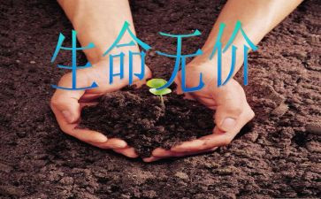 有关无价的作文6篇