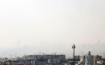 污染环境的调查报告6篇