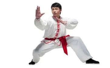 武术届工作总结8篇