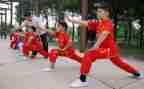 体育武术教案5篇