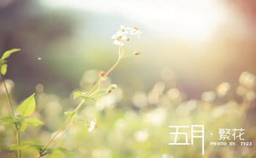 青协五月计划6篇