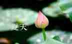 夏天的小作文300字7篇