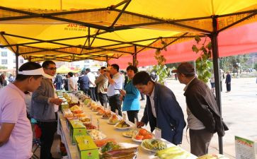 乡镇食品安全2024年工作计划8篇