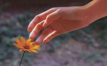 目标与现实的作文6篇