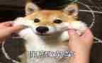 微笑日的演讲稿推荐6篇