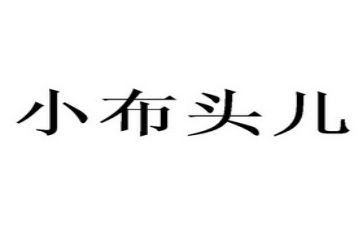 小布头的梦读后感6篇