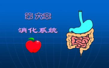 消化心得体会8篇
