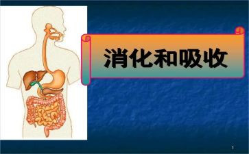 消化内科护士工作计划7篇